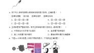 初中科学浙教版七年级上册第3节 生物体的结构层次教案