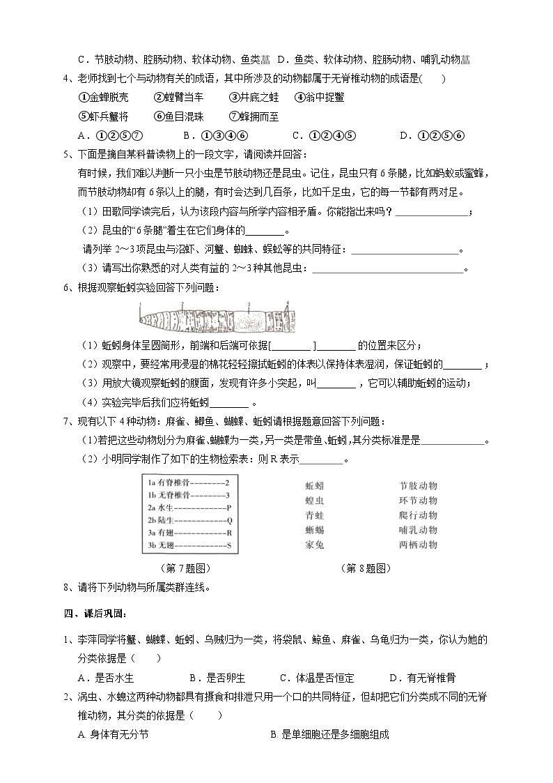 2.4常见的动物 学案 浙教版科学七年级上册03