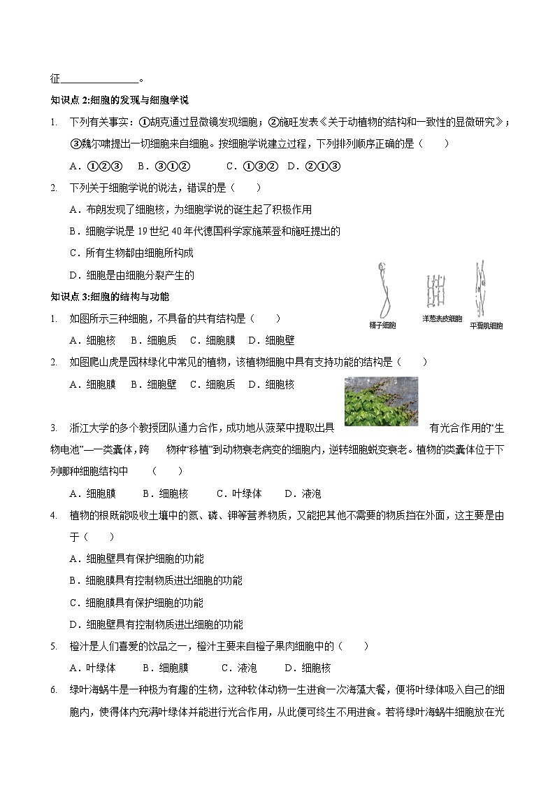 2.1~2.2 生物与细胞 浙教版科学七年级上册 试卷03