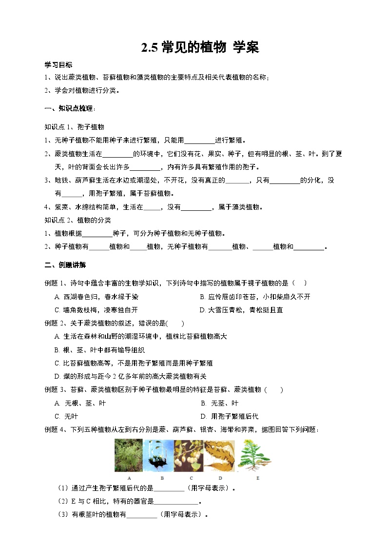 初中科学浙教版七年级上册第5节 常见的植物学案