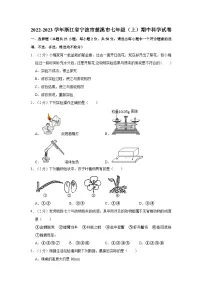 浙江省宁波市慈溪市2022-2023学年七年级上学期科学期中测试卷