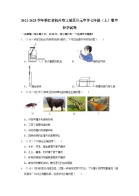 2022-2023学年浙江省杭州市上城区开元中学七年级上学期期中科学试卷