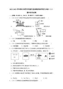 2022-2023学年浙江省绍兴市新昌县南瑞实验学校九年级上学期期中科学试卷（含解析）