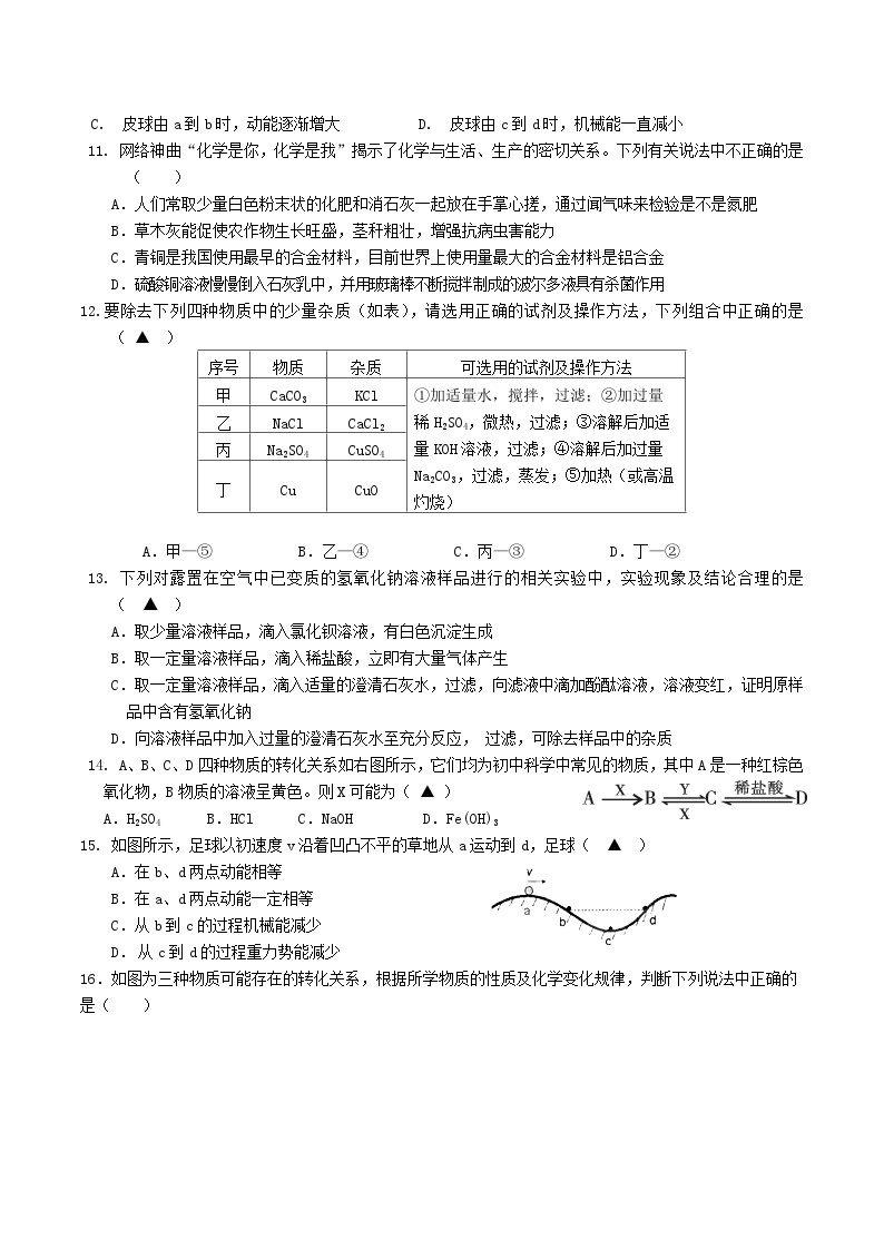 浙江省杭州市上城区2023-2024学年九年级上学期科学期中提优模拟检测（1-3章）03