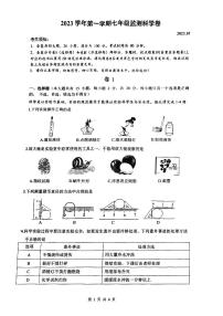 浙江省温州市瑞安市联考2023-2024学年七年级上学期11月期中科学试题