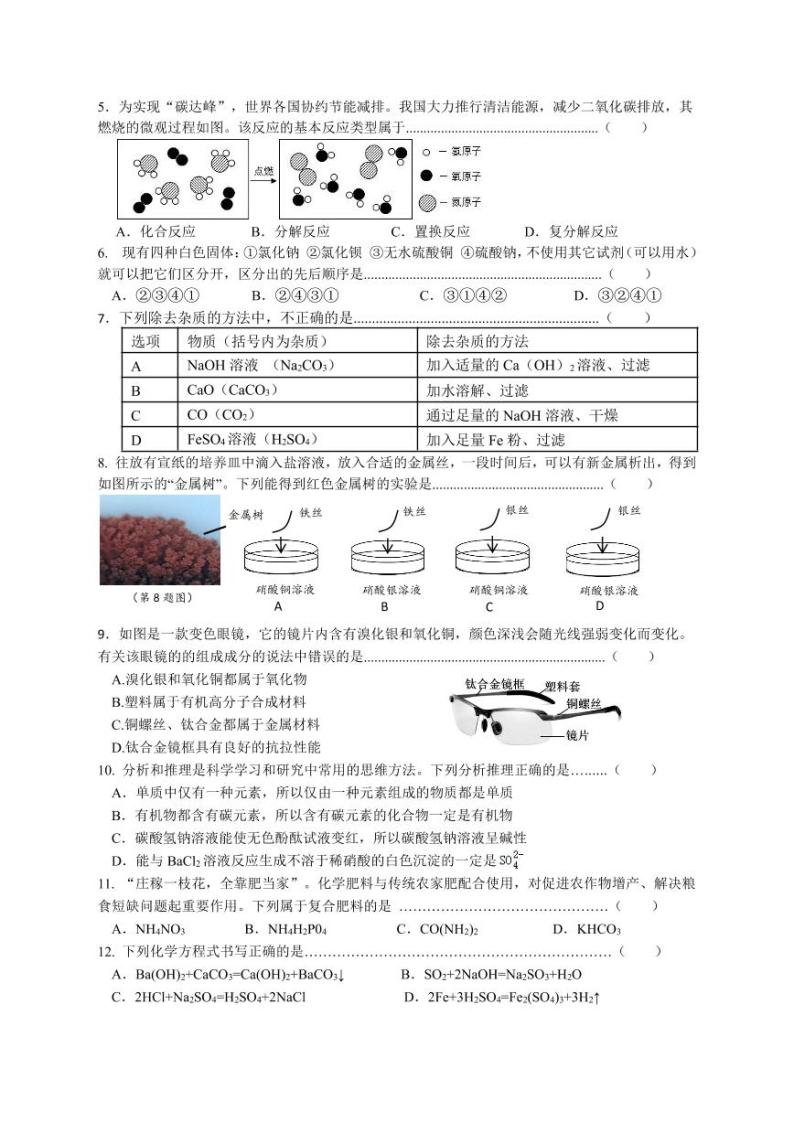 浙江省金华市兰溪市第二中学2023-2024学年上学期10月考试九年级科学试卷02