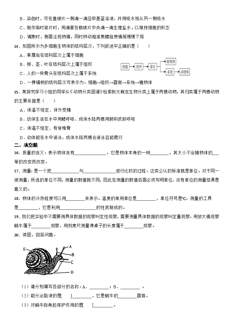 期中练习A卷-华东师大版七年级上册科学第3页