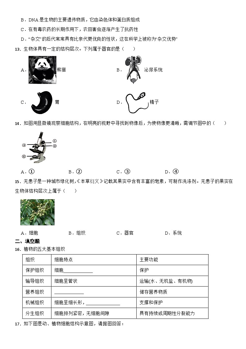 期中练习B卷-华东师大版七年级上册科学03