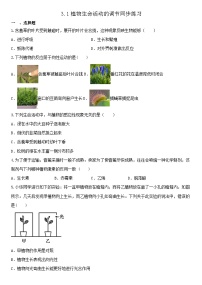 浙教版第1节 植物生命活动的调节课堂检测