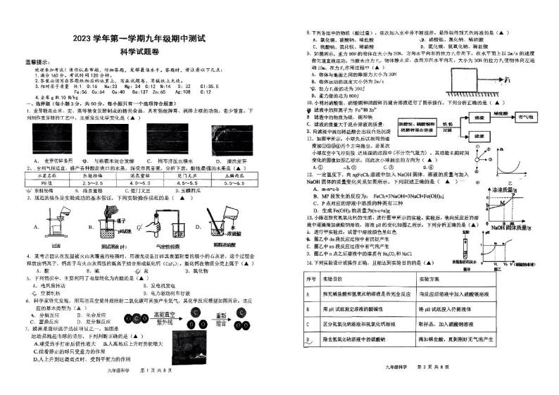 浙江省台州市玉环市新城学校2023-2024学年上学期九年级期中科学测试01