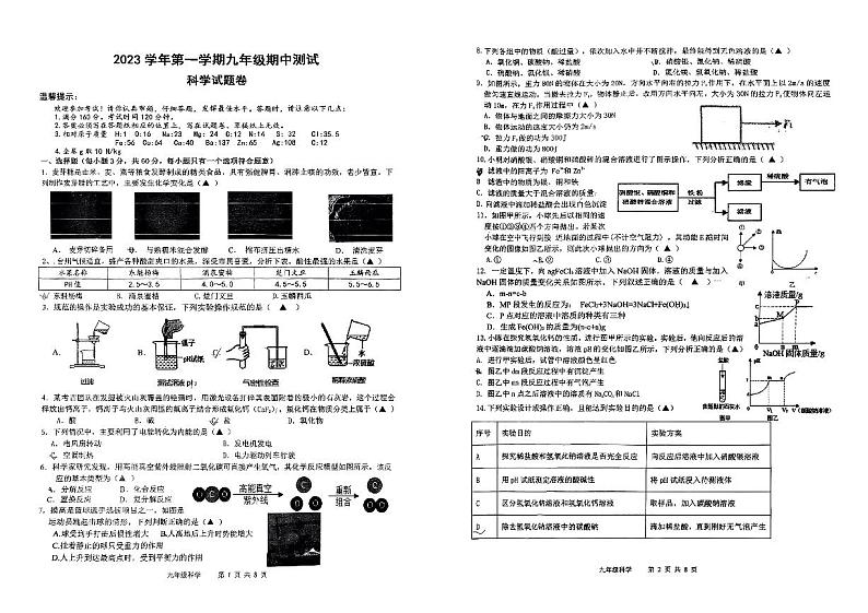 浙江省台州市玉环市新城学校2023-2024学年上学期九年级期中科学测试01