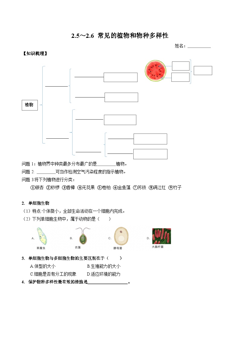 初中科学浙教版七年级上册第5节 常见的植物学案