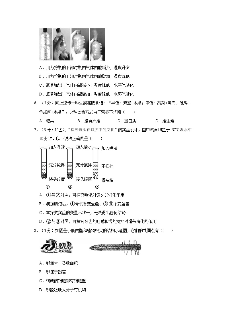 浙江省杭州市杭州中学2023-2024学年九年级上学期期中科学试卷02