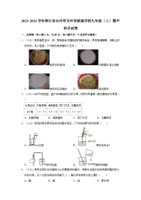 浙江省台州市玉环市新城学校2023-2024学年九年级上学期期中科学试卷