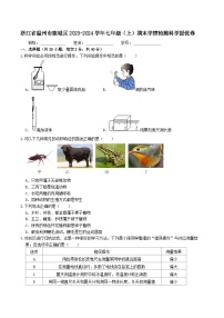 浙江省温州市鹿城区2023-2024学年七年级上学期期末学情检测科学模拟卷