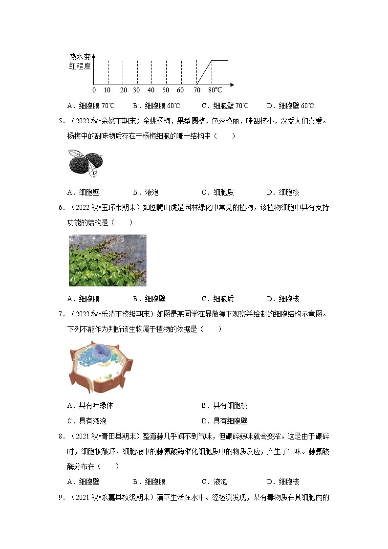 2.2细胞-选择题提升题(浙教版)-浙江省七上学期科学期末试题选编第2页