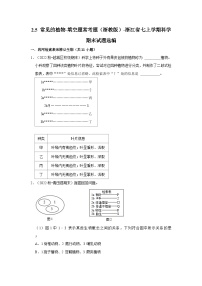 2.5 常见的植物-填空题常考题（浙教版）-浙江省七上学期科学期末试题选编