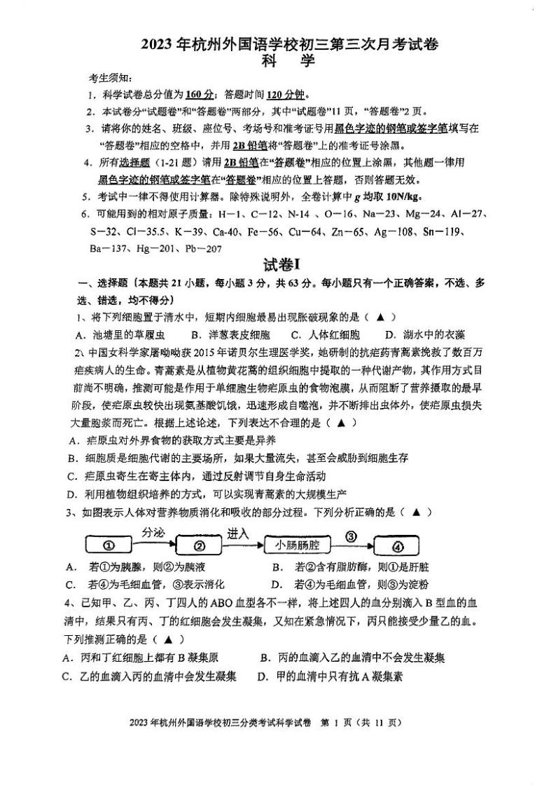 浙江省杭州外国语学校2023-2024学年九年级上学期月考科学试卷（12月份）01