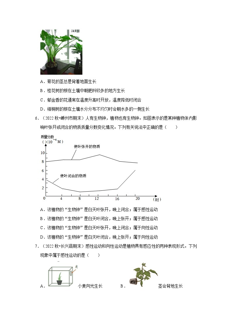 129，浙江省八年级上学期科学期末试题汇编-3.1 植物生命活动的调节（浙教版）03