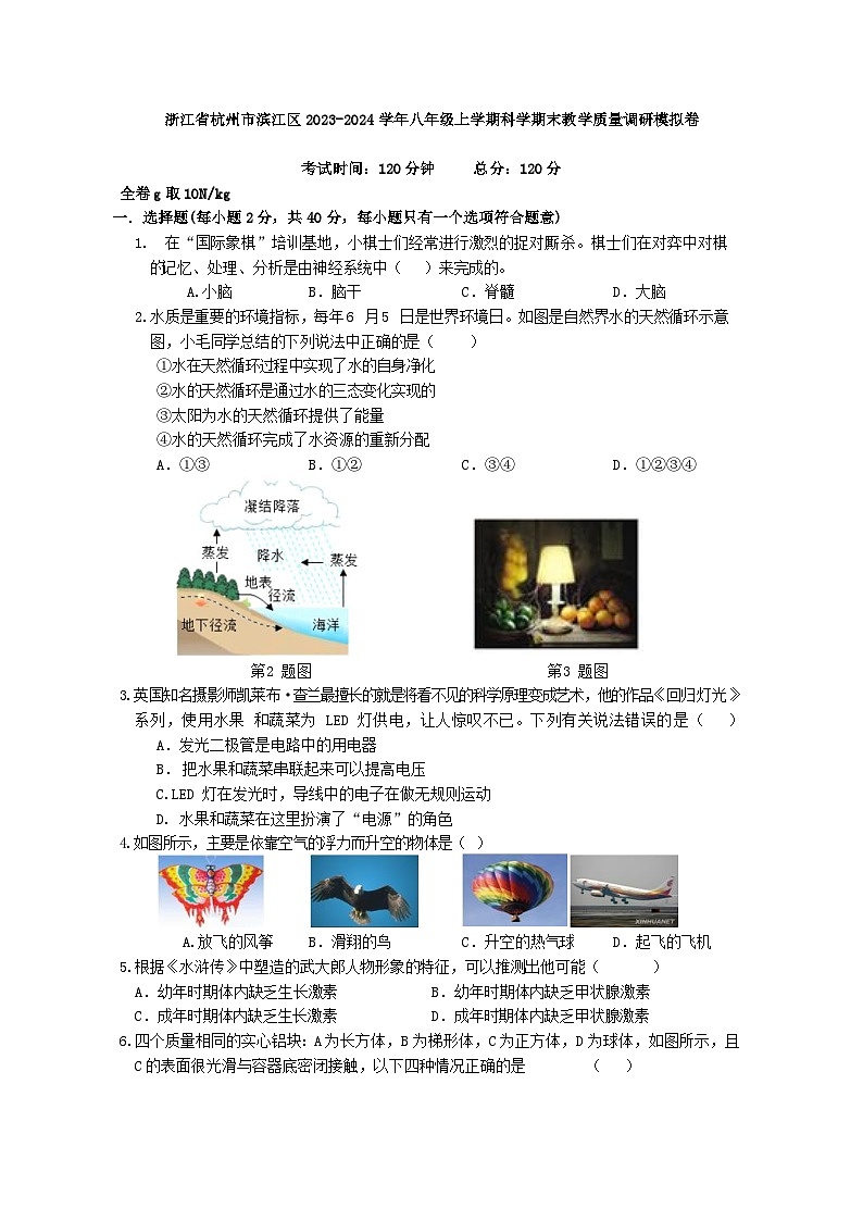 浙江省杭州市滨江区2023-2024学年八年级上学期科学期末教学质量调研模拟卷第1页