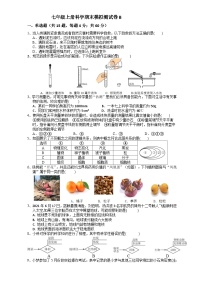 +期末模拟测试卷B-----2023-2024学年浙教版科学七年级上册