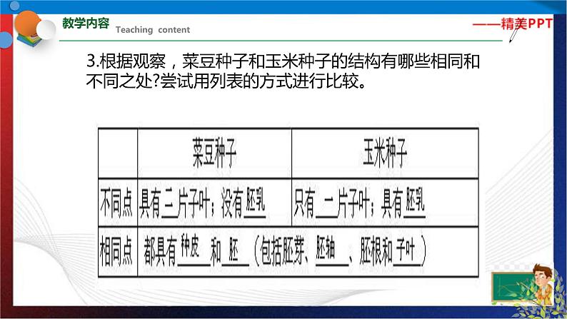 1.4 植物的一生 第1课时(课件)七年级科学下册同步备课(浙教版)第8页