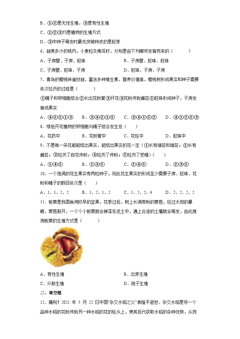 1.5 植物生殖方式的多样性 第1课时  七年级科学下册同步备课（浙教版）（课件+练习）02