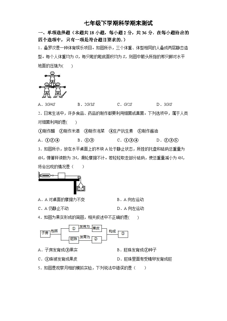 期末测试模拟卷 -七年级科学下册同步备课（浙教版）含答案01