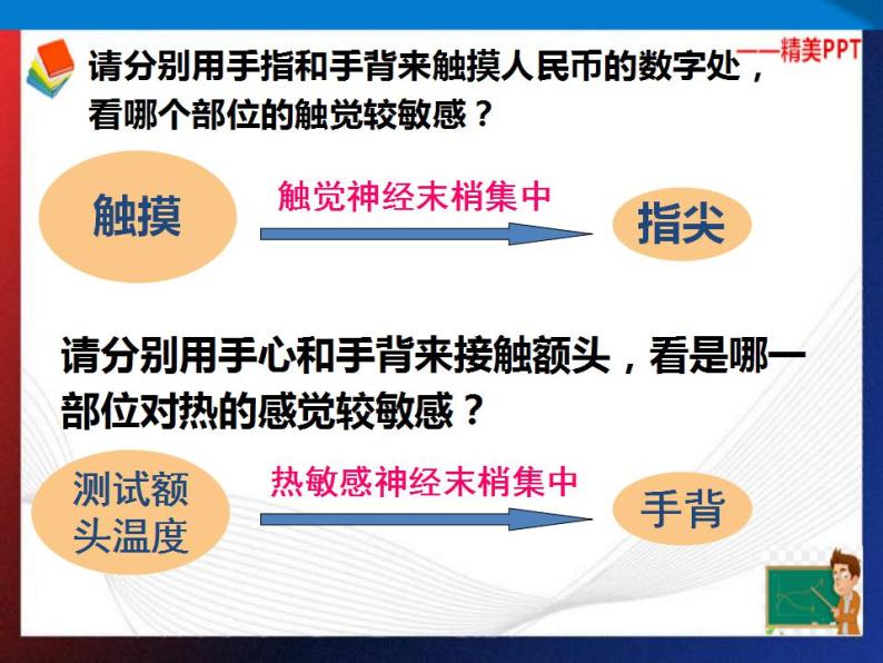 第2章对环境的察觉复习（1）单元综合课件 七年级科学下册备考复习（浙教版）07