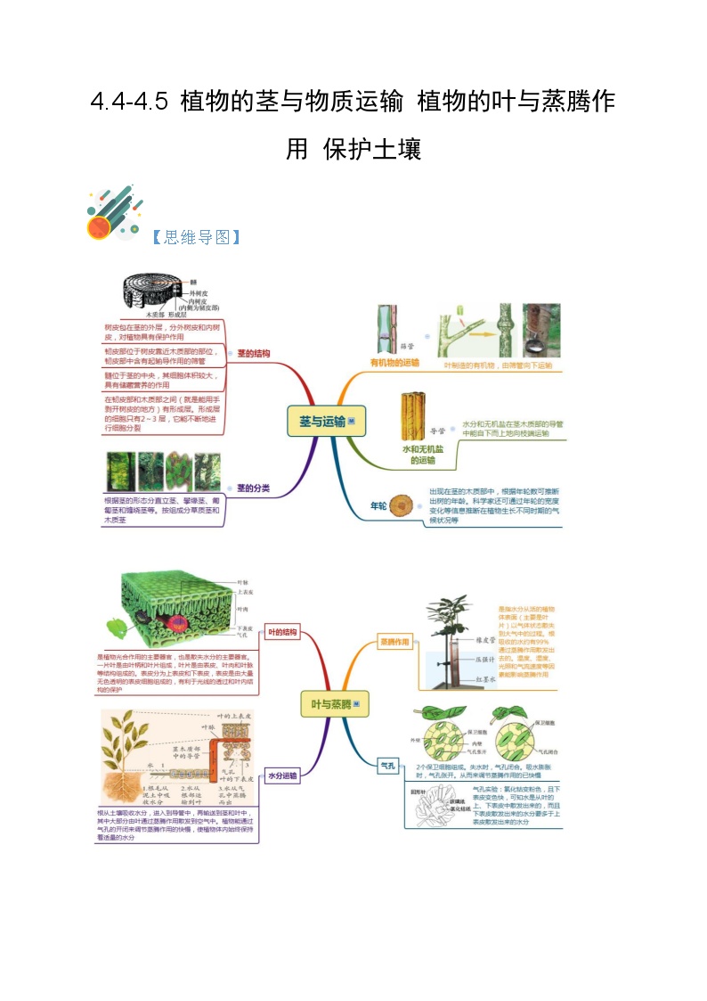初中科学浙教版八年级下册第4章 植物与土壤第6节 保护土壤学案