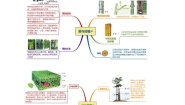 初中科学浙教版八年级下册第4章 植物与土壤第6节 保护土壤学案