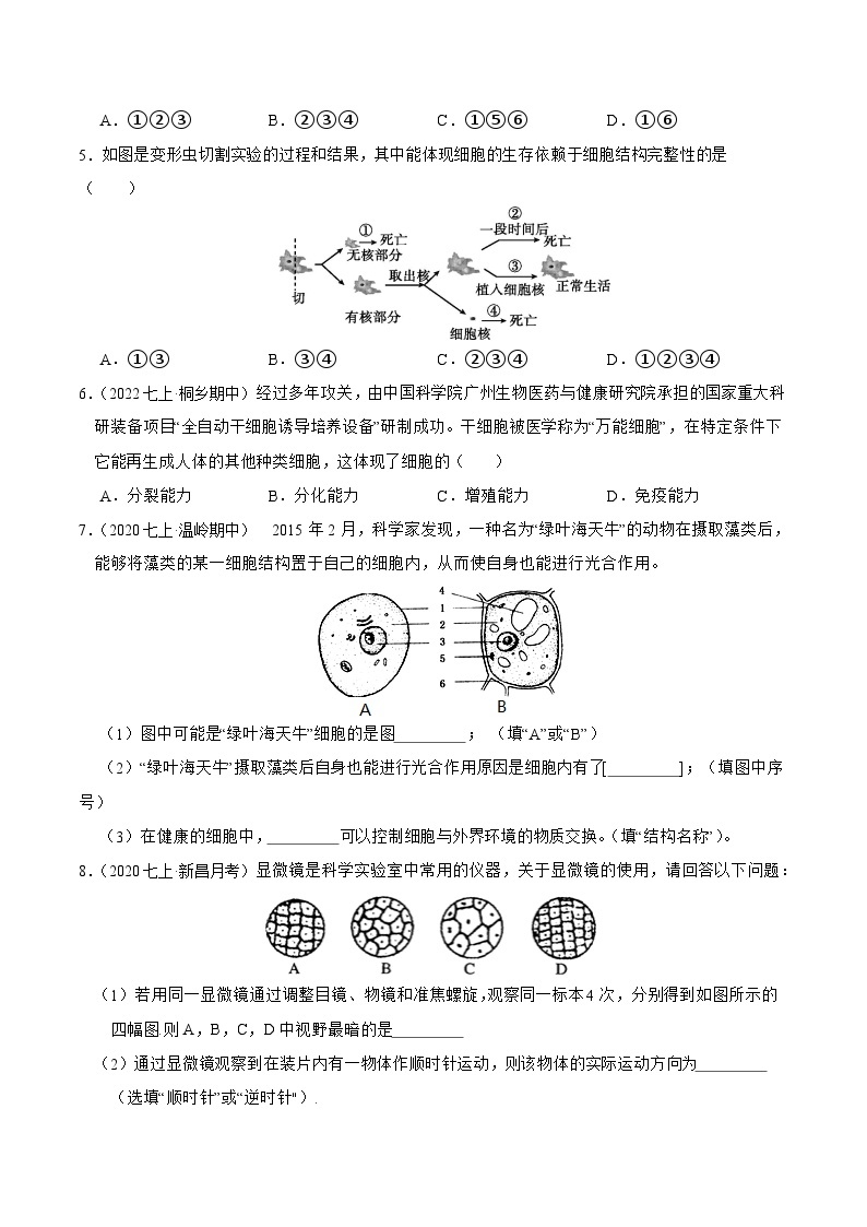 专题03 细胞观察与结构、生物体结构层次-2023-2024学年七年级科学上学期期末高效复习（浙教版）02