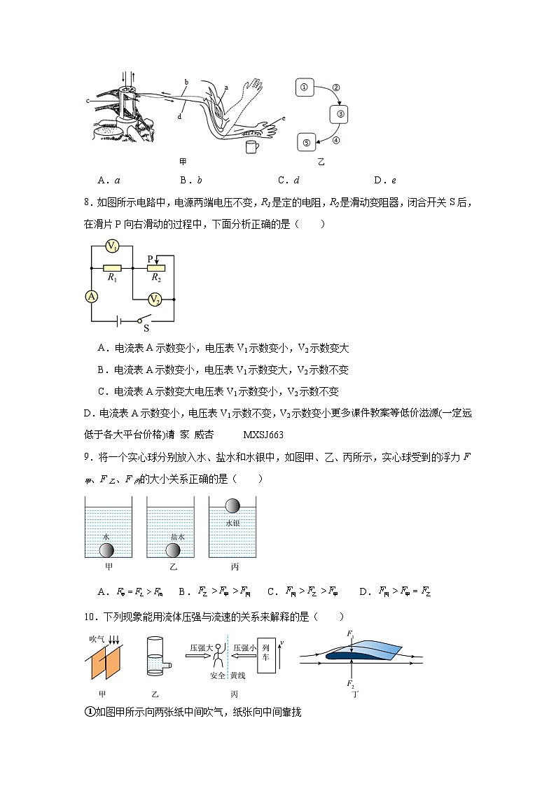 浙江省舟山市2023-2024学年八年级上学期期末模拟科学试卷03