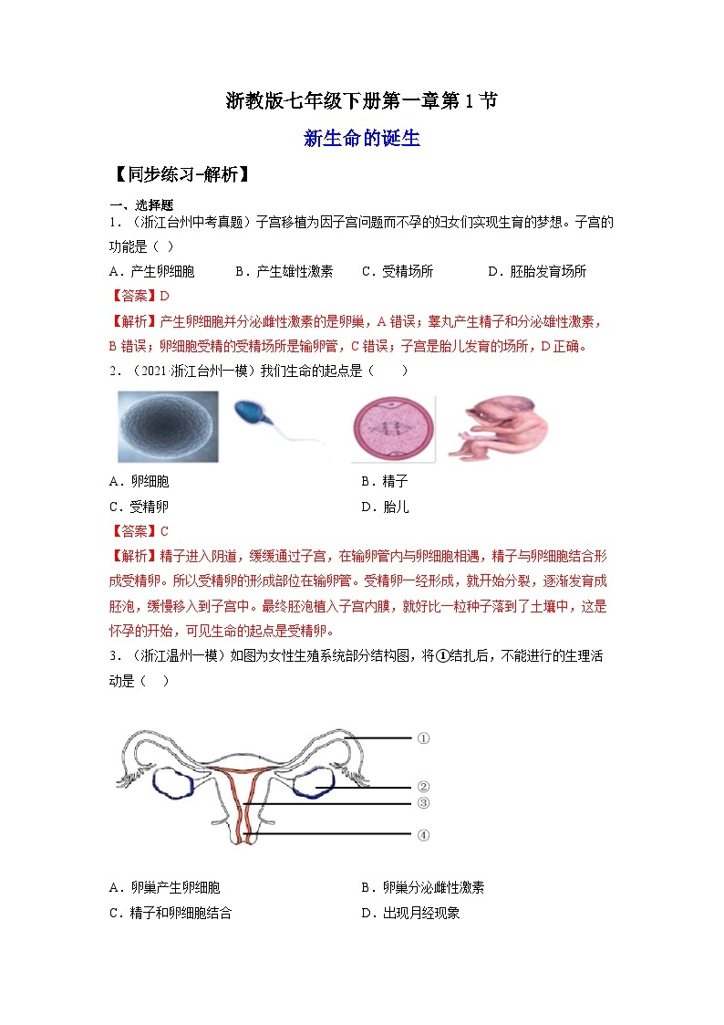 【浙教版】七下科学  1.1新生命的诞生（课件+同步练习）01