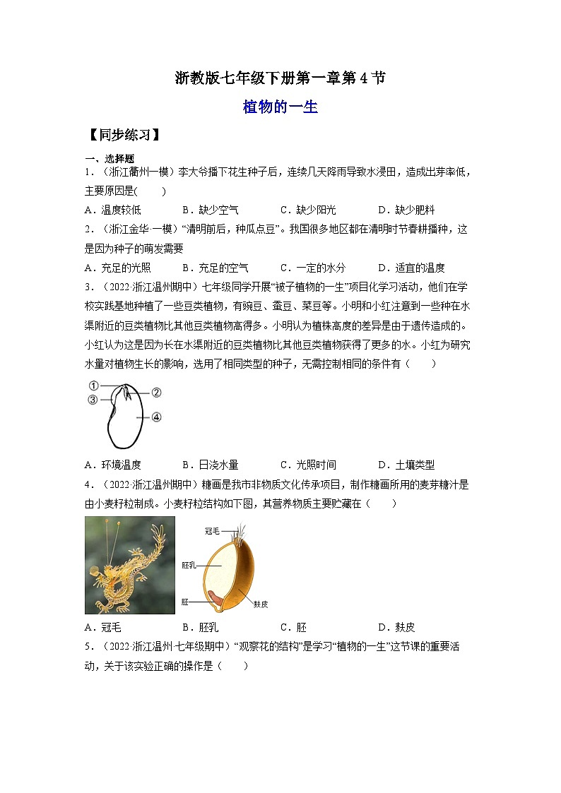 【浙教版】七下科学 1.4植物的一生(课件+同步练习)01