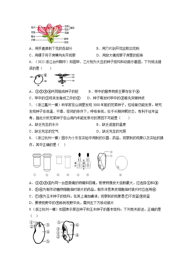 【浙教版】七下科学 1.4植物的一生(课件+同步练习)02
