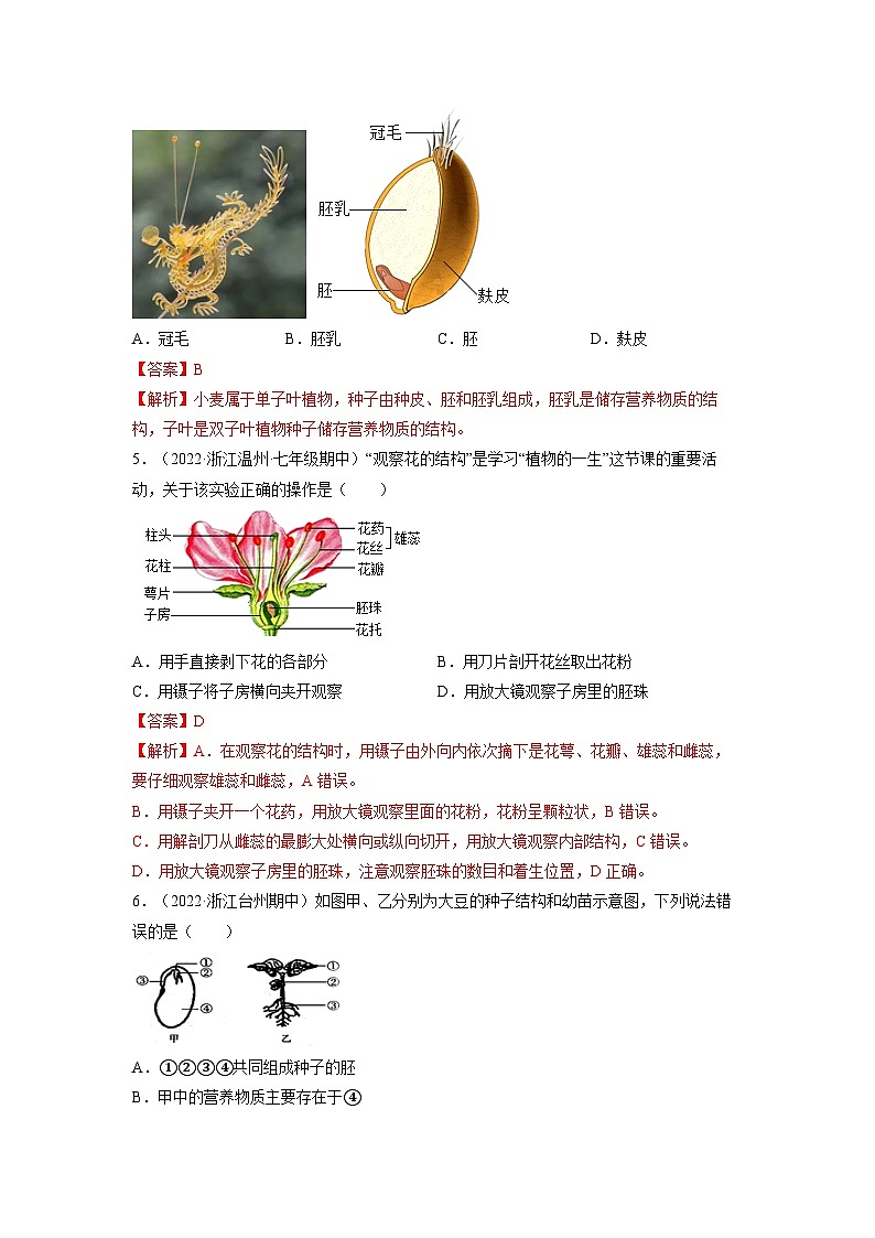 【浙教版】七下科学 1.4植物的一生(课件+同步练习)02