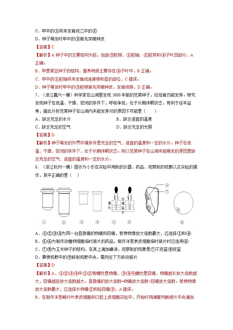 【浙教版】七下科学  1.4植物的一生（课件+同步练习）03