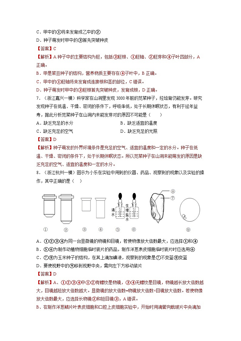 【浙教版】七下科学 1.4植物的一生(课件+同步练习)03