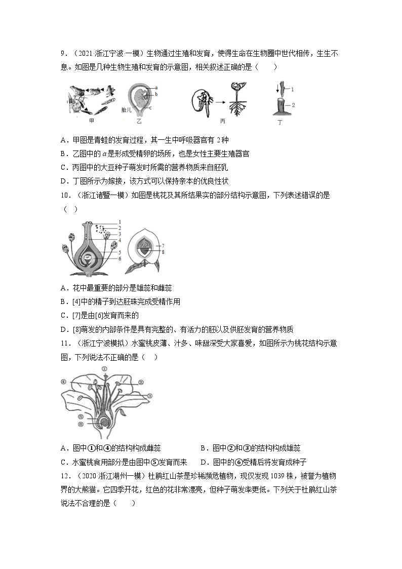 【浙教版】七下科学  1.5植物生殖方式的多样性（课件+同步练习）03