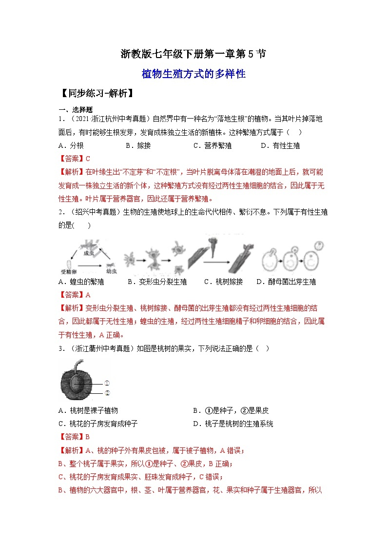 【浙教版】七下科学  1.5植物生殖方式的多样性（课件+同步练习）01