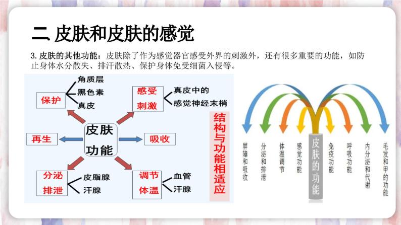 【浙教版】七下科学  2.1感觉世界（课件+同步练习）06