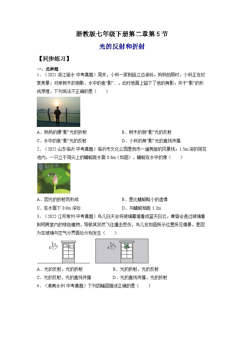 【浙教版】七下科学 2.5光的反射与折射(课件+同步练习)01