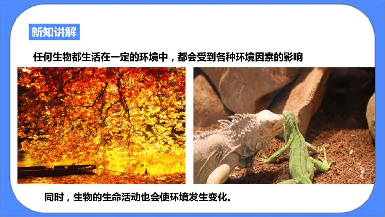 浙教版九年科学下册第2章第1节生物与环境的相互关系课件03