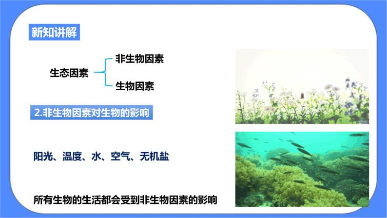 浙教版九年科学下册第2章第1节生物与环境的相互关系课件05