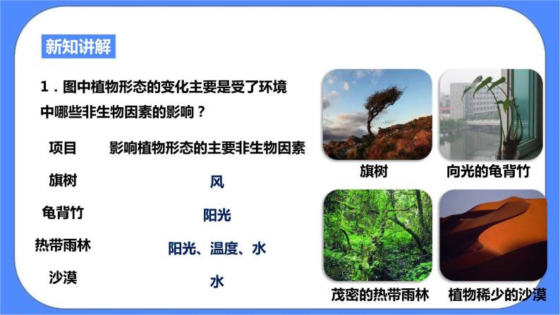 浙教版九年科学下册第2章第1节生物与环境的相互关系课件06