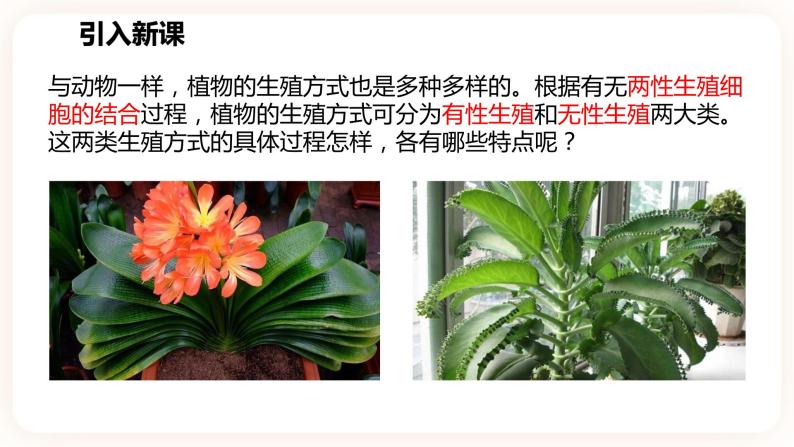浙教版科学七年级下册1.5植物生殖方式的多样性(第1课时）课件02
