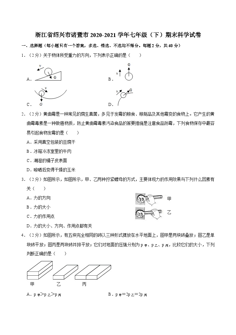 浙江省绍兴市诸暨市2020-2021学年七年级下学期期末科学试卷