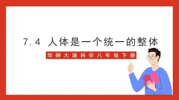 华师大版科学八年级下册7.4《人体是一个统一的整体》 课件