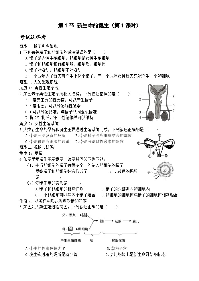 浙教版科学七年级下册1.1《新生命的诞生》第1课时 课件+练习01